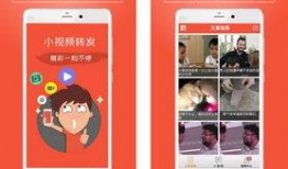 转发爆料视频完整版