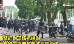刑警爆料歹徒事件视频,歹徒事件视频曝光，惊心动魄瞬间还原