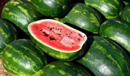 最新吃瓜免费,真相大白，明星隐私再掀波澜