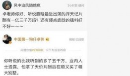 卓伟爆料鹿晗后续视频,卓伟揭秘后续精彩瞬间