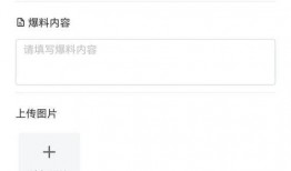 爆料小程序新闻,爆料小程序背后的新闻风云