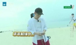 团山最新爆料新闻视频播放,揭秘视频背后的惊人真相