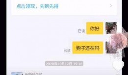 大狗最新爆料视频大全集,揭秘热点事件背后的真相