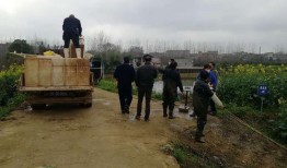 湖北垄上行在线观看,在线观看带你领略荆楚大地风土人情