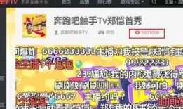 跑男同步直播在线观看,实时感受热血竞技的魅力