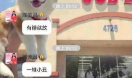 君姐爆料新闻,揭秘娱乐圈最新热点事件