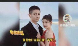 卓伟爆料陈晓劈腿视频,卓伟独家爆料，真相究竟如何？