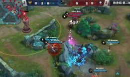 异域舞娘爆料视频,神秘舞蹈背后的故事与真相