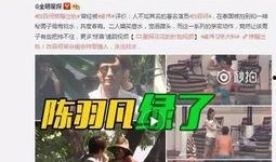 猫女林大哥爆料完整版视频,完整版视频内容深度解析