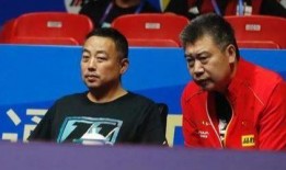 乒乓球员爆料视频播放下载,独家下载与幕后故事