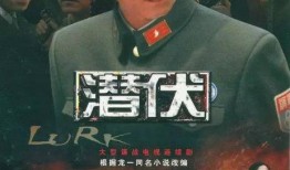 电视剧潜伏全集在线观看,间谍风云，暗战无声