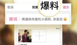 最新的娱乐资讯爆料网站,最新动态大揭秘，明星幕后故事全解析！